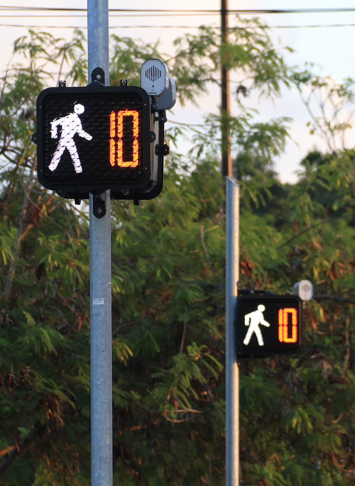 uploads/6/32/01 (2747).Jpeg